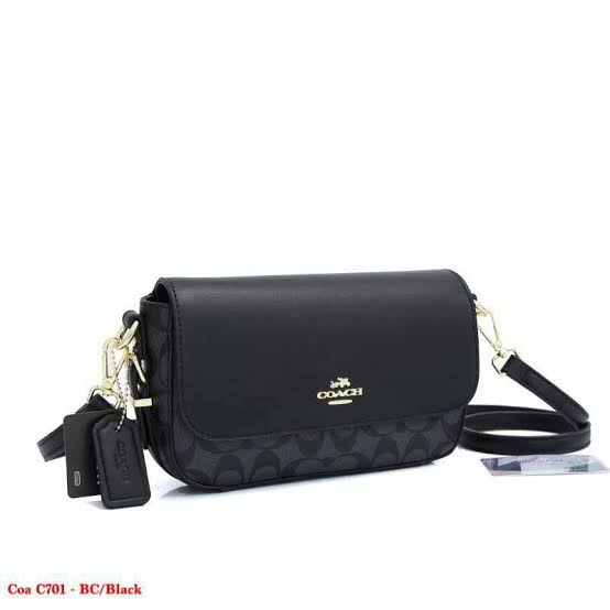 Coach Small Bag